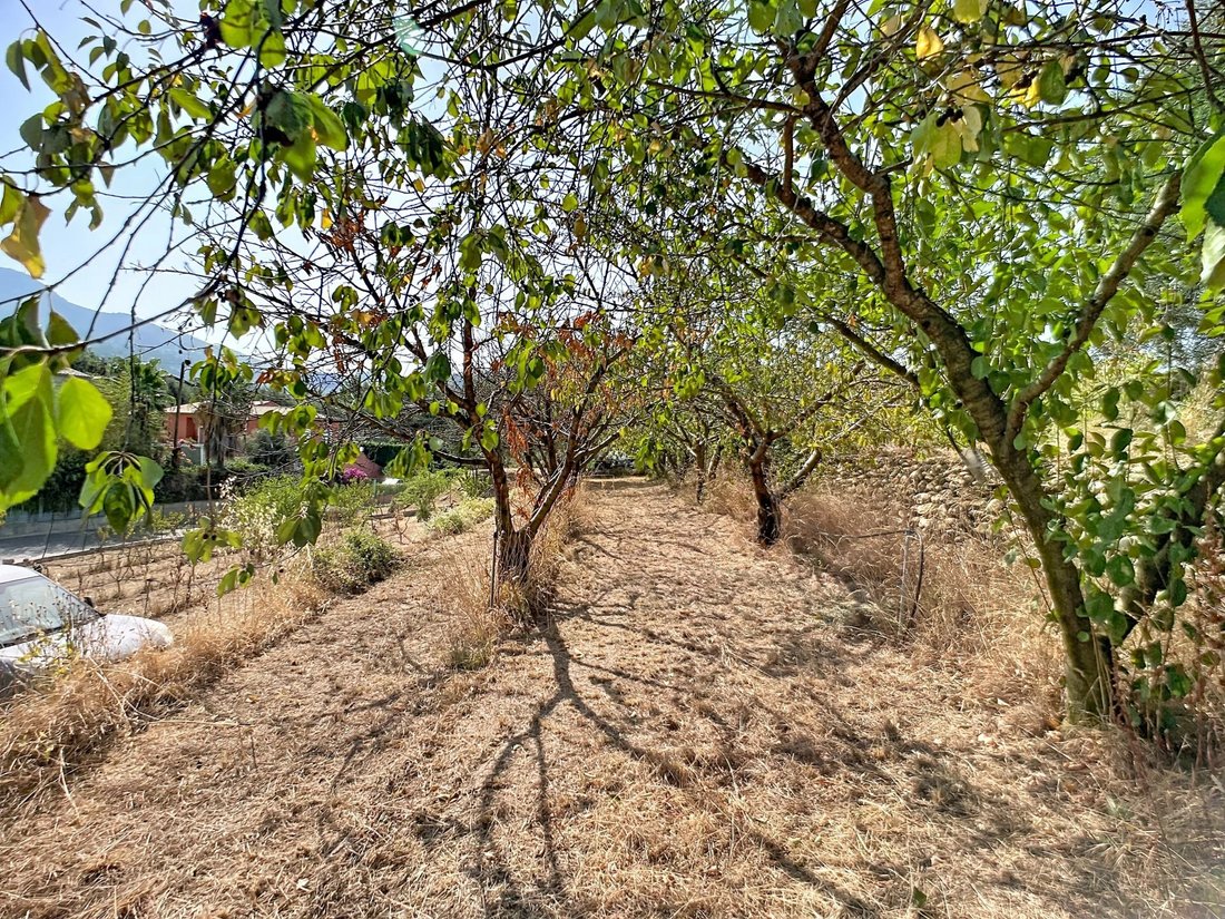 Land in Carros, Provence-Alpes-Côte d'Azur, France 4 - 18559772