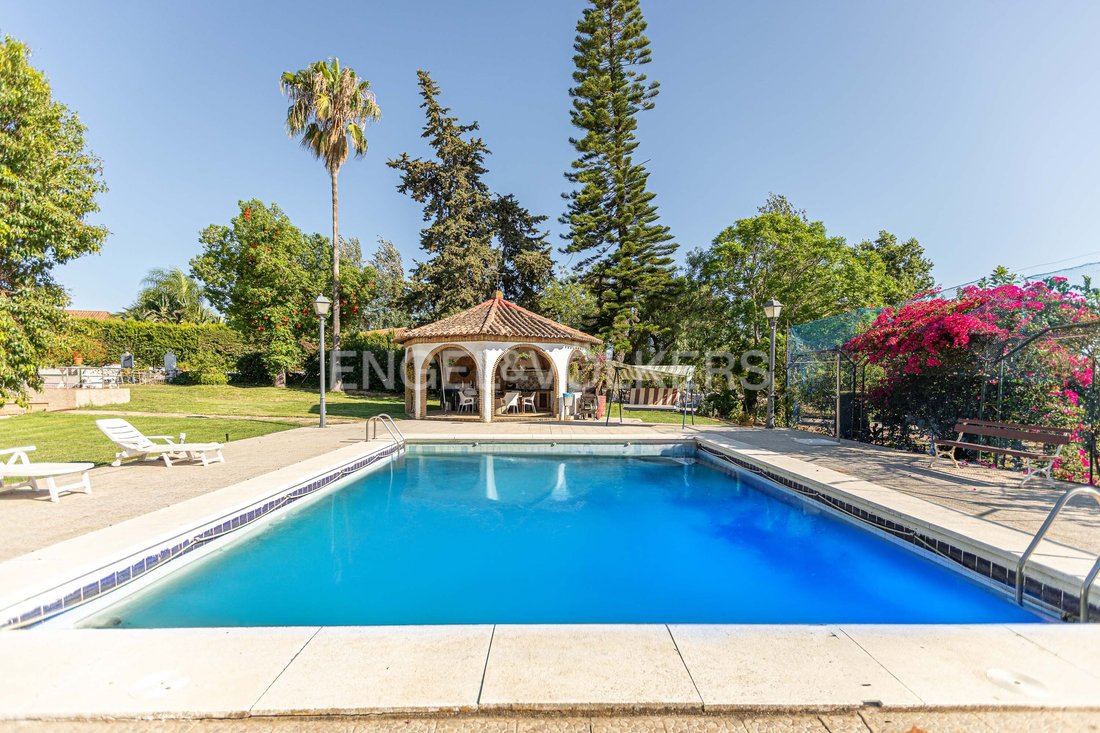 Finca in El Rompido, Cartaya, Andalusia 2 - 18601166