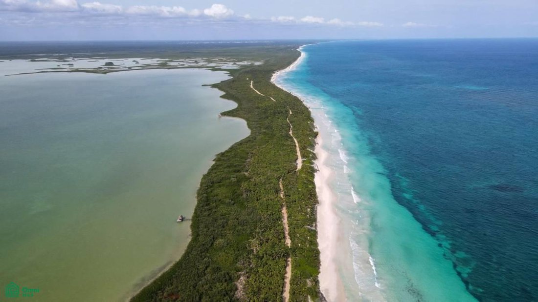 Land in Campechen, Quintana Roo, Mexico 5 - 17811044