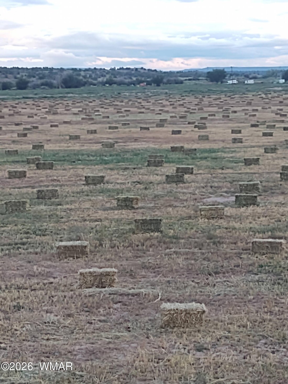 Farm Ranch in Snowflake, Arizona, United States 4 - 18449025