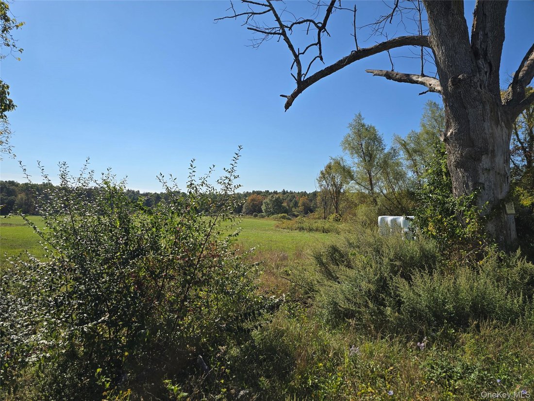 House in Bloomingburg, New York, United States 5 - 18600315