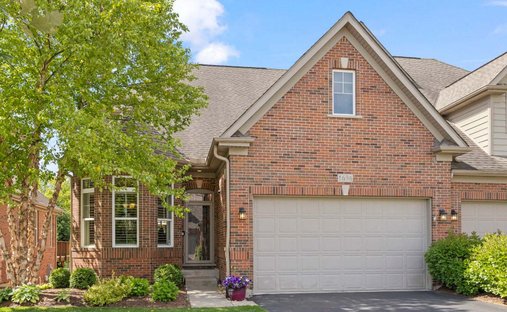 Condominio a Bolingbrook, Illinois, Stati Uniti 1