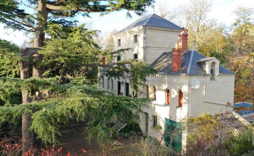 House in Gare-Croix Verte-Ile Offard-Millocheau, Saumur, France 1