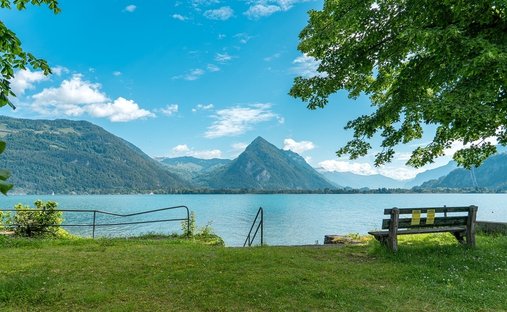 Terreno a Därligen, Berna, Svizzera 1