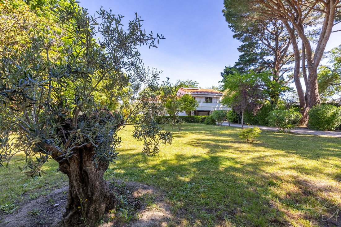 Villa in Centre Ville, Perpignan, France 2 - 18597605