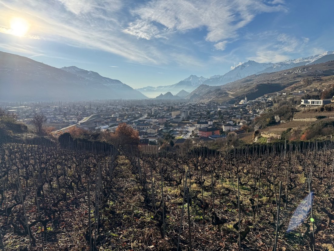 Land in Saint-Léonard, Valais, Switzerland 2 - 18599748