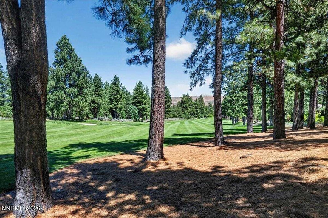 Land in Reno, Nevada, United States 4 - 18603602