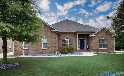 House in Owens Cross Roads, Alabama, United States 1