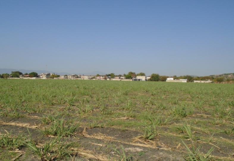 Land in Puente de Ixtla, Morelos, Mexico 4 - 18599505