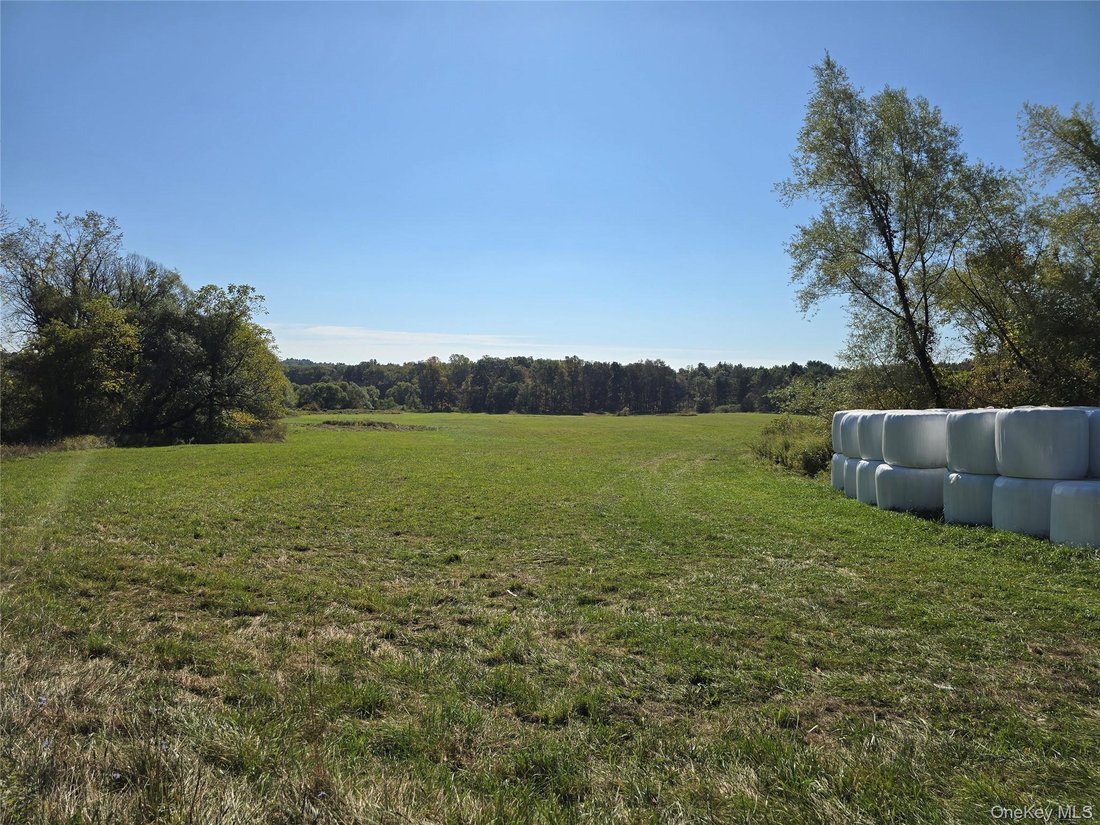 House in Bloomingburg, New York, United States 2 - 18600315