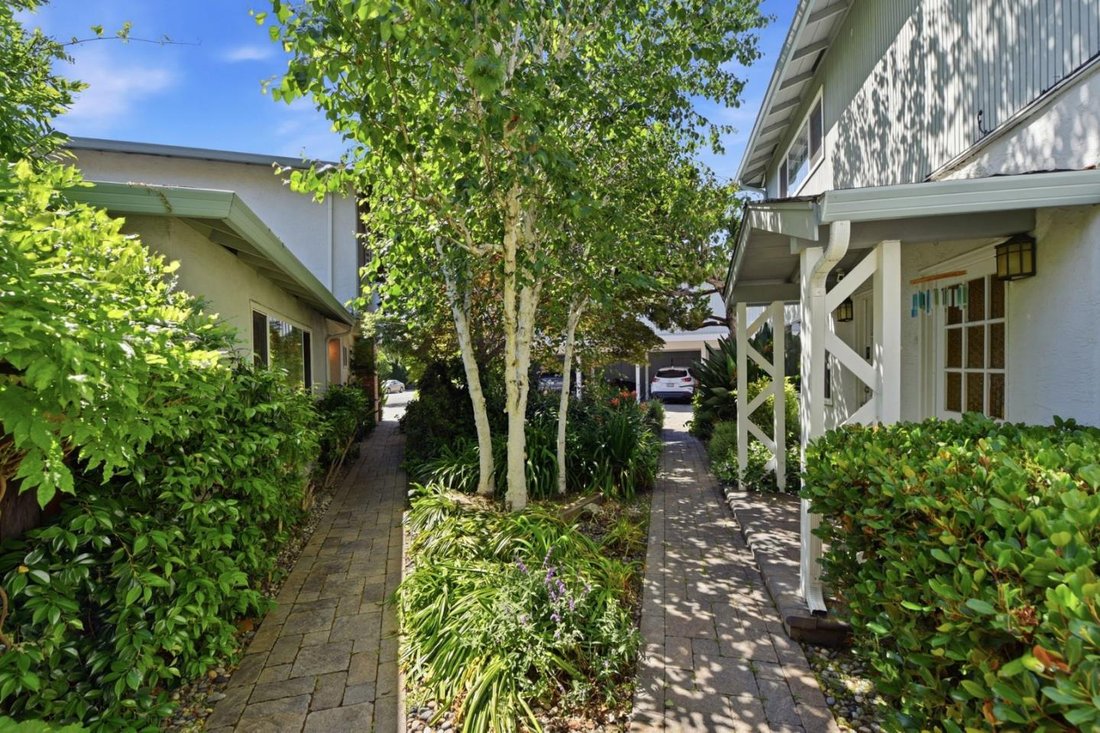 Mountain View, California, United States 4 - 18600628