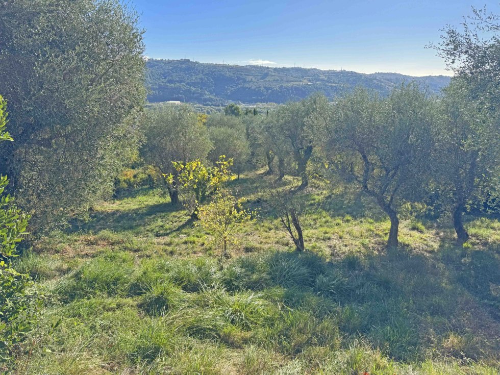 Villa in Saint-Jeannet, Provence-Alpes-Côte d'Azur, France 5 - 18597365