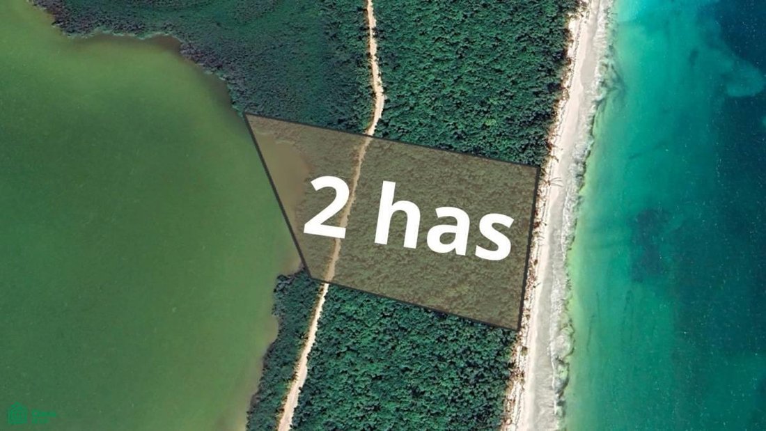 Land in Campechen, Quintana Roo, Mexico 1 - 17811044