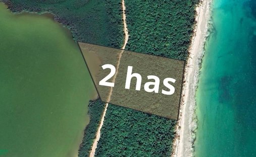 Land in Campechen, Quintana Roo, Mexico 1
