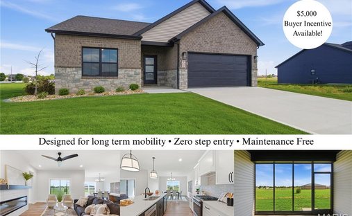 House in Caseyville, Illinois, United States 1
