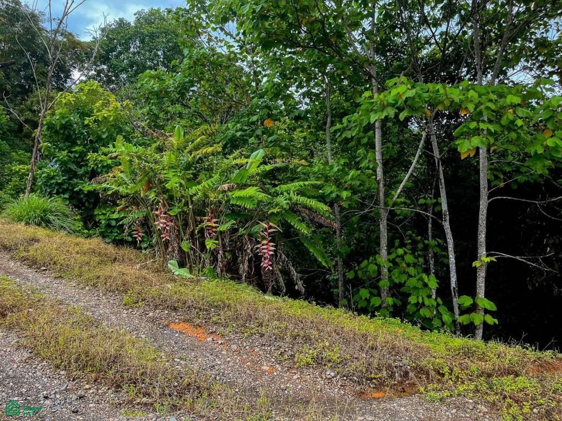 Land in Rancho Quemado, Puntarenas Province, Costa Rica 2 - 17804701
