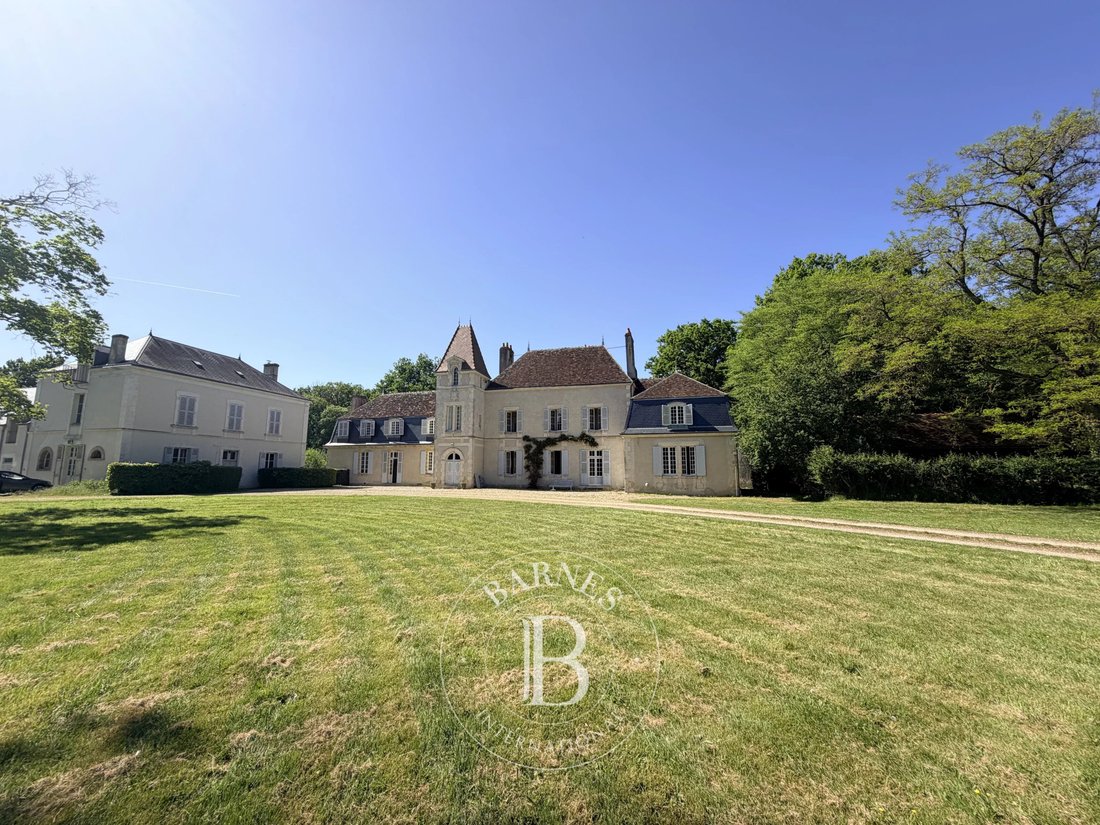 Castle in Vatan, Centre-Val de Loire, France 3 - 18598384
