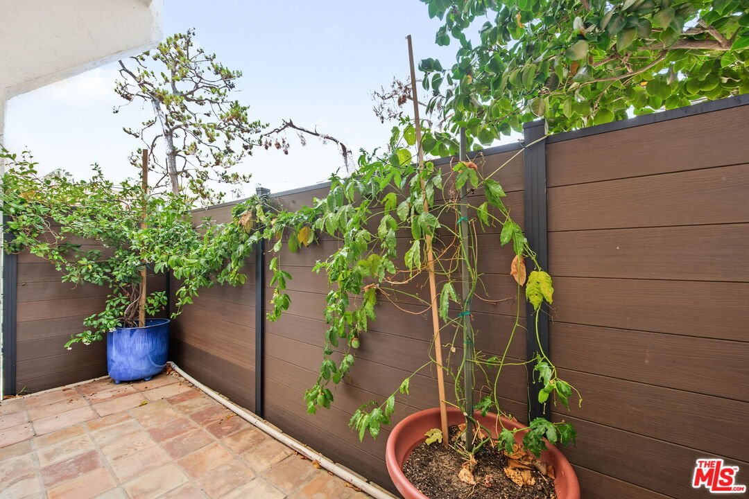 Santa Monica, California, United States 5 - 18602443