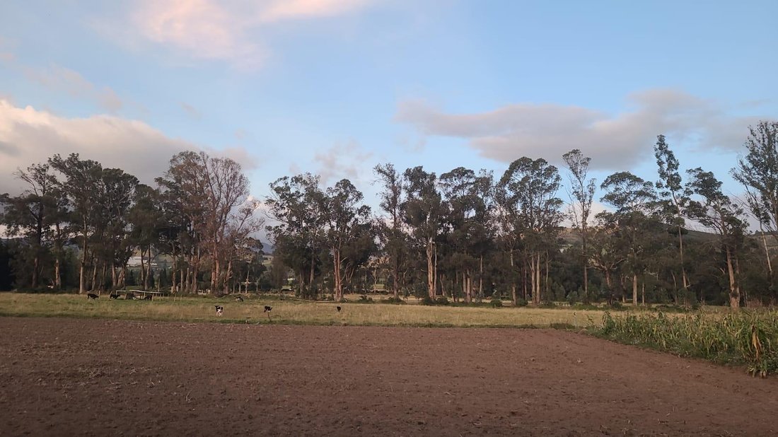 Land in Cayambe, Pichincha, Ecuador 4 - 18598829