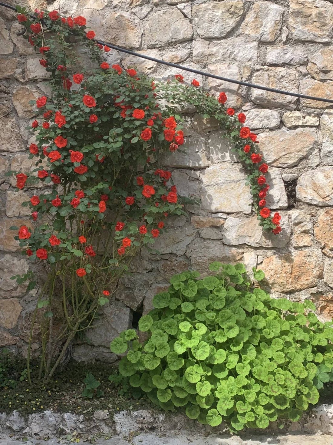 House in Laghet-Périphérie, La Trinité, France 5 - 15726095
