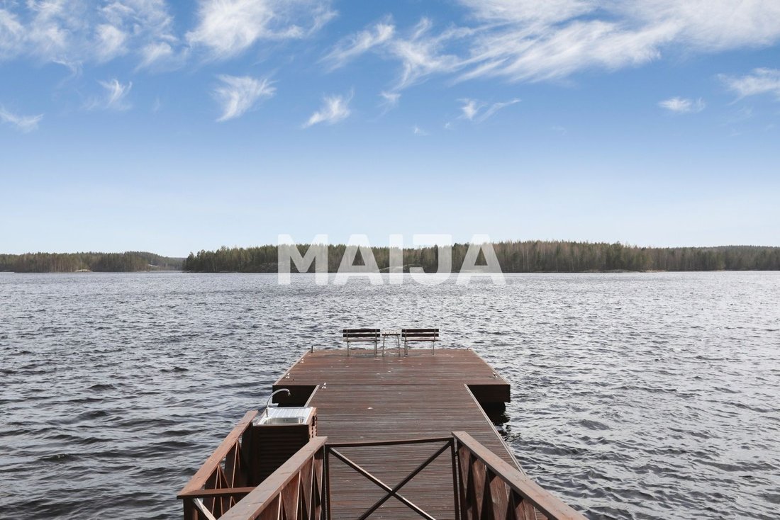 Villa in Puumala, Finland 3 - 18599601