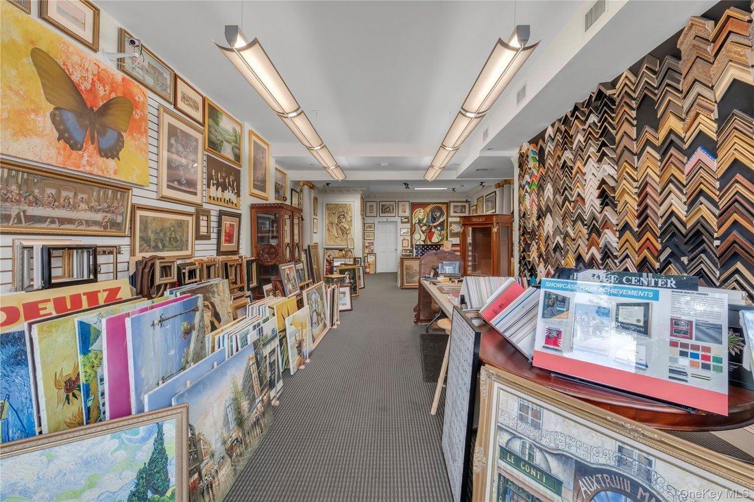 North New Hyde Park, New York, United States 3 - 18602368