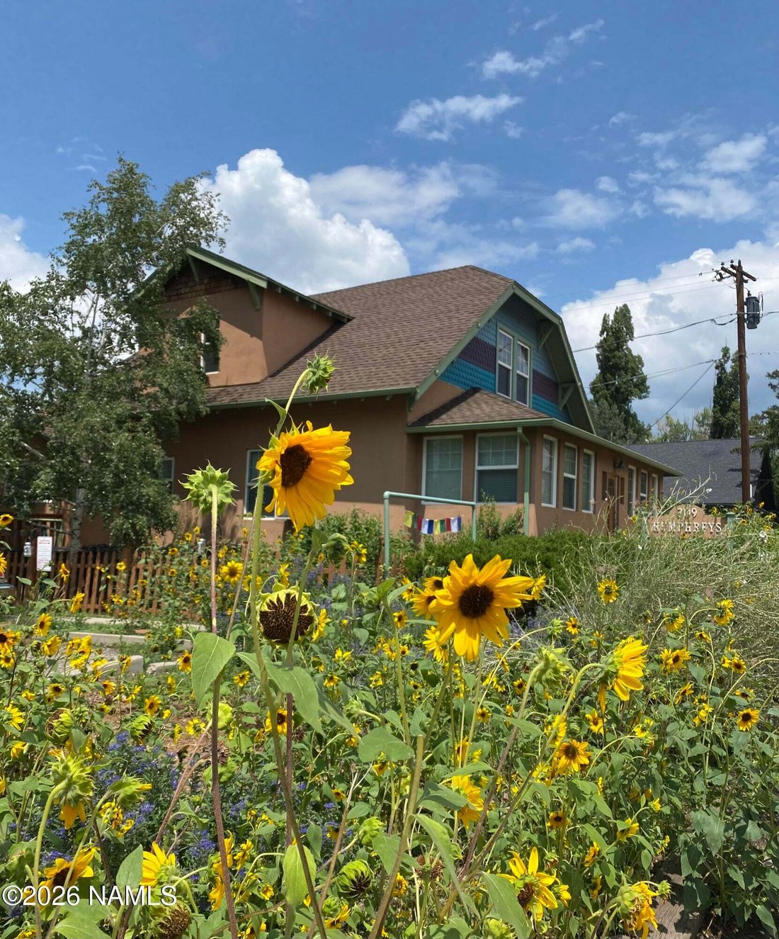Flagstaff, Arizona, United States 1 - 18599571