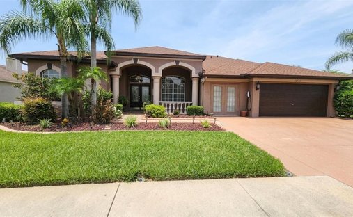 Haus in Lutz, Florida, Vereinigte Staaten 1