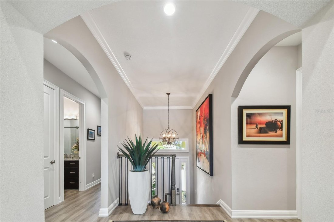House in St. Petersburg, Florida, United States 4 - 17471713