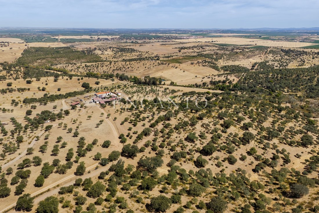 Estate in Sao Mancos e Sao Vicente do Pigeiro, Évora District, Portugal 3 - 18598570