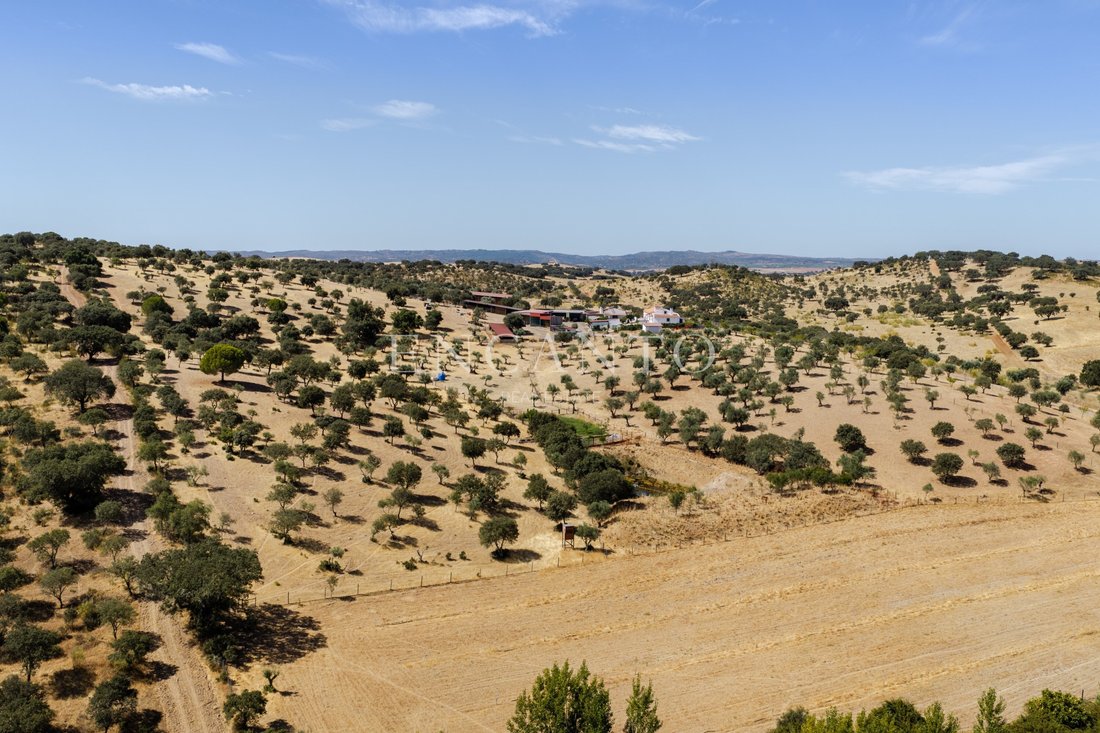 Estate in Sao Mancos e Sao Vicente do Pigeiro, Évora District, Portugal 5 - 18598570