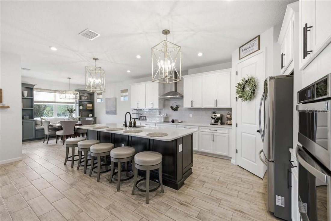 House in Land O' Lakes, Florida, United States 5 - 18601264