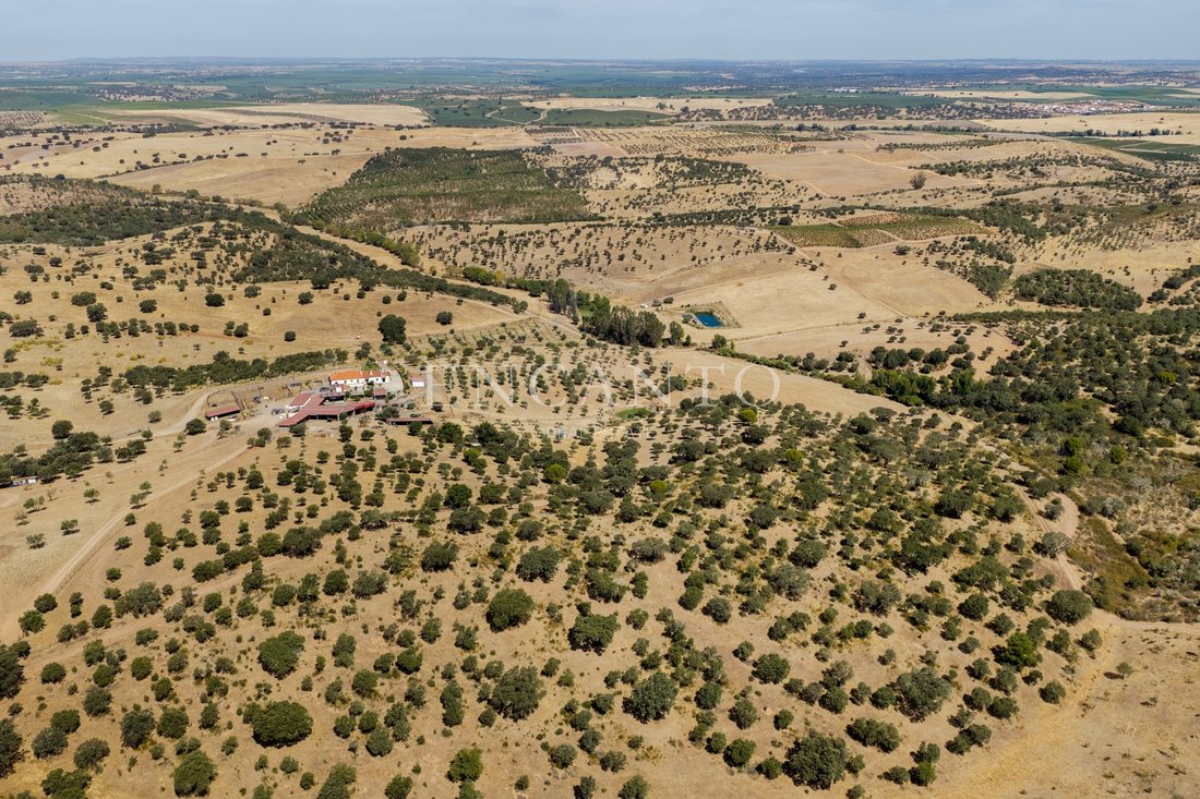 Estate in Sao Mancos e Sao Vicente do Pigeiro, Évora District, Portugal 4 - 18598570