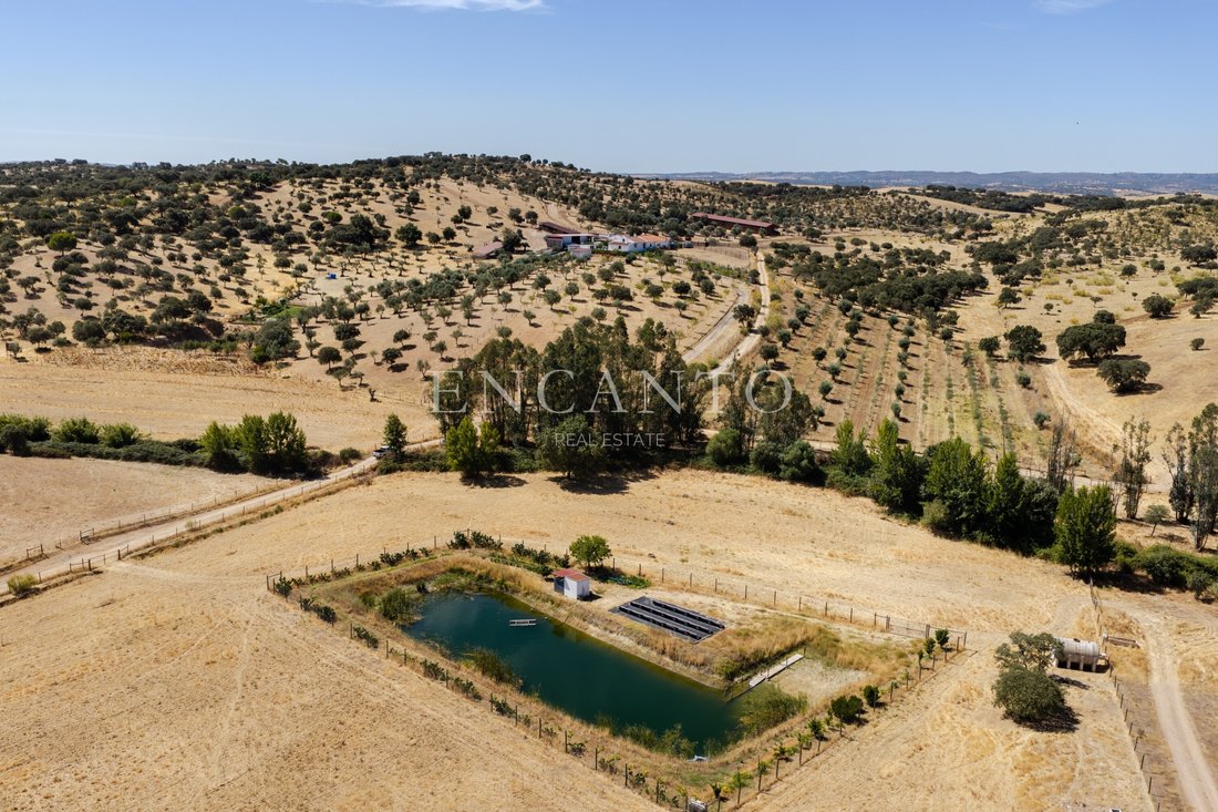 Estate in Sao Mancos e Sao Vicente do Pigeiro, Évora District, Portugal 1 - 18598570