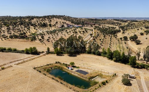 Estate in Sao Mancos e Sao Vicente do Pigeiro, Évora District, Portugal 1