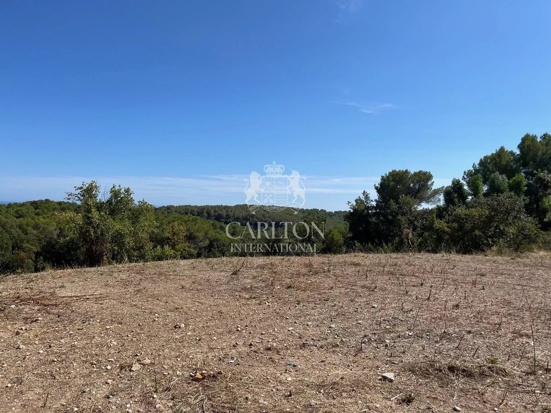 Land in Nord, Roquefort-les-Pins, France 4 - 18073385