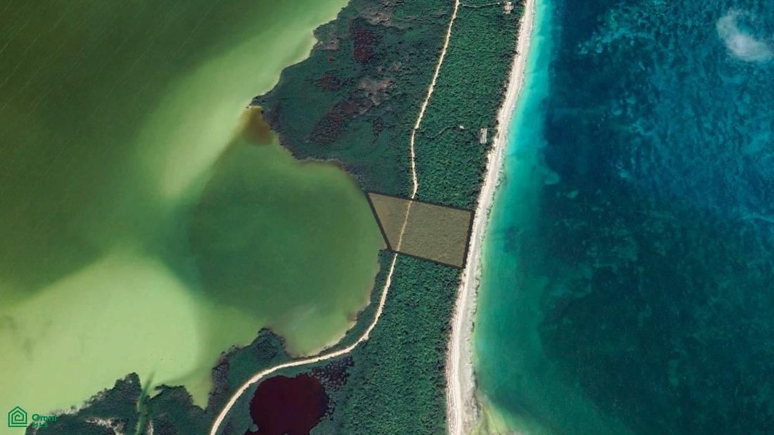Land in Campechen, Quintana Roo, Mexico 2 - 17811044