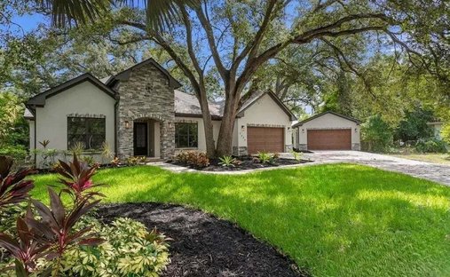 House in Tampa, Florida, United States 1