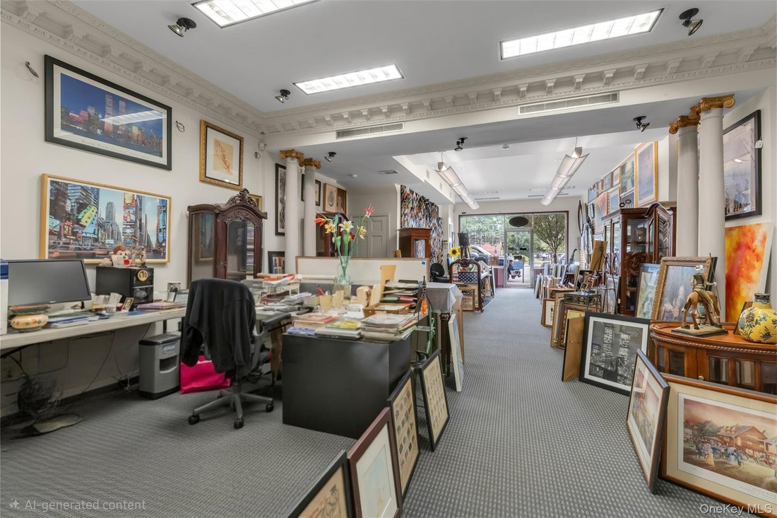 North New Hyde Park, New York, United States 4 - 18602368