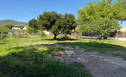 Land in Nord Est, Bormes-les-Mimosas, France 1