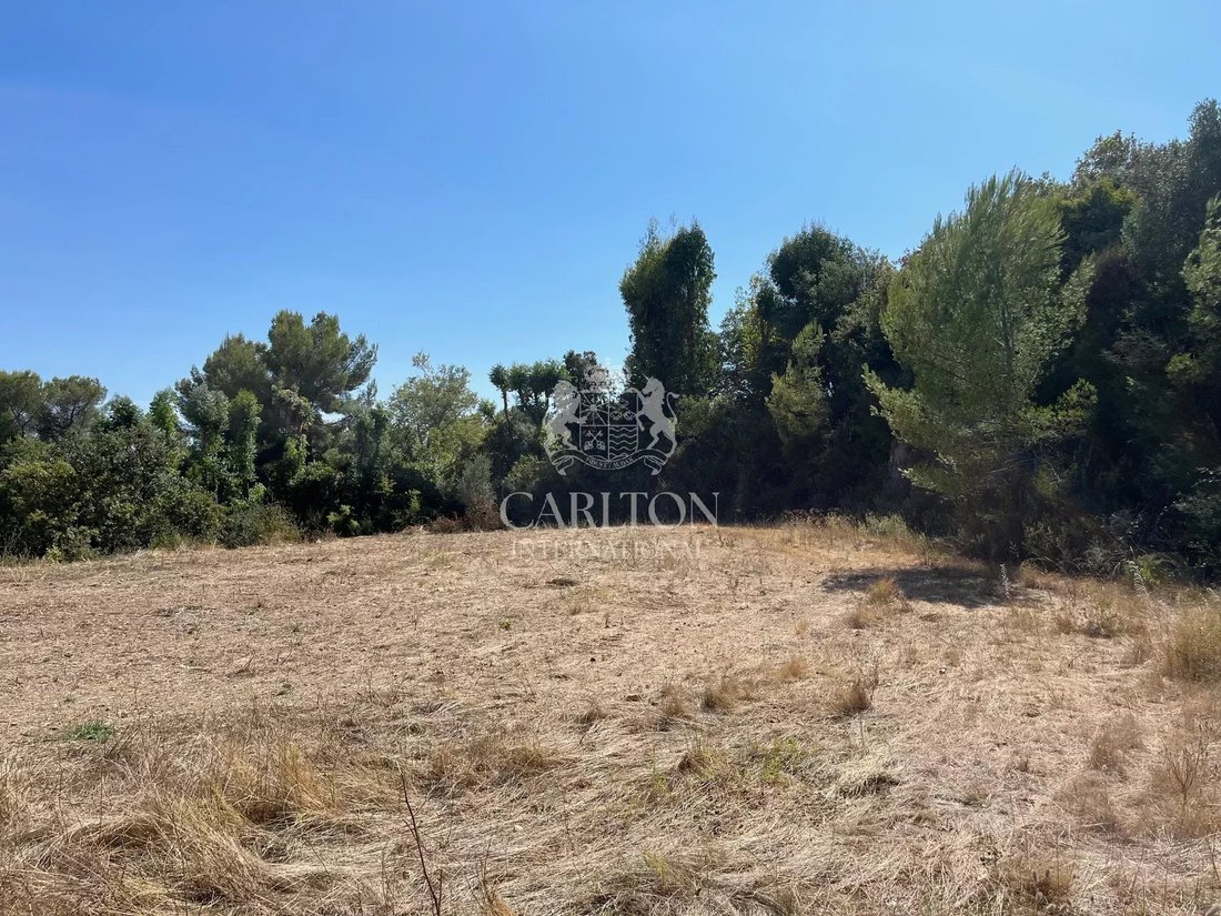 Land in Nord, Roquefort-les-Pins, France 5 - 18073385