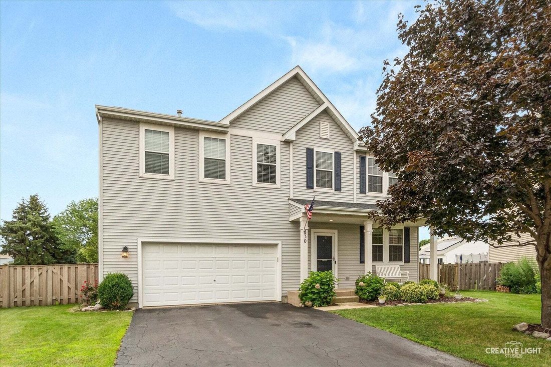 House in Pingree Grove, Illinois, United States 1 - 18601403