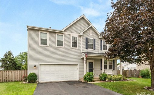 House in Pingree Grove, Illinois, United States 1