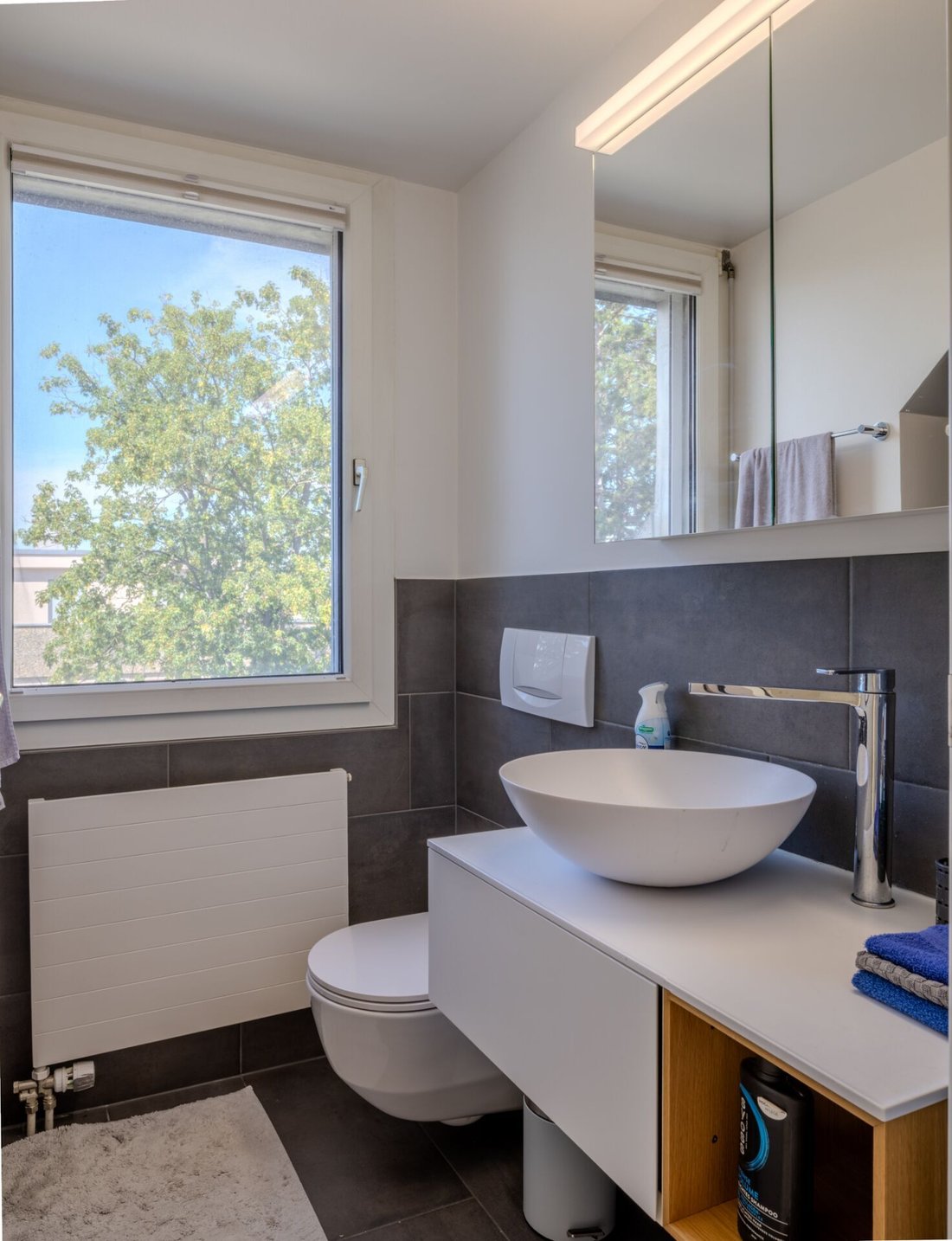 Apartment in Reinach, Basel-Landschaft, Switzerland 5 - 18599961