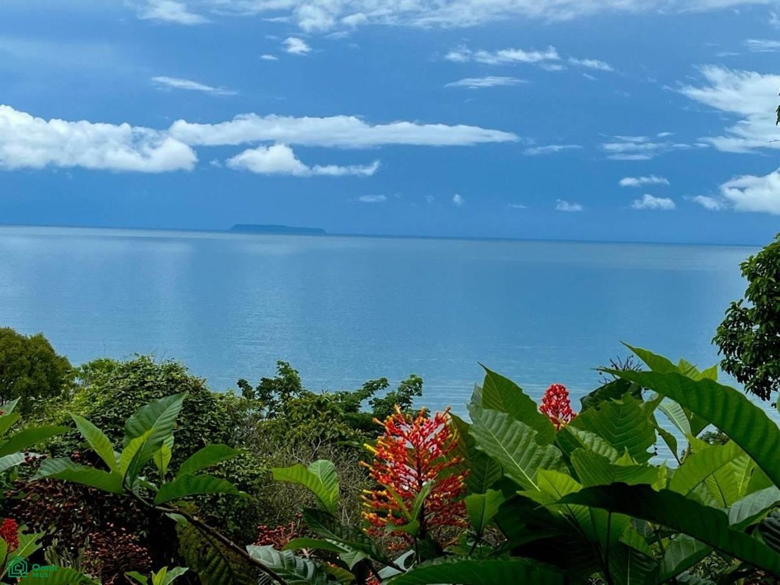 Land in Rancho Quemado, Puntarenas Province, Costa Rica 3 - 17804701