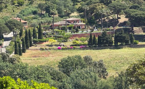 House in Nord Est, Bormes-les-Mimosas, France 1
