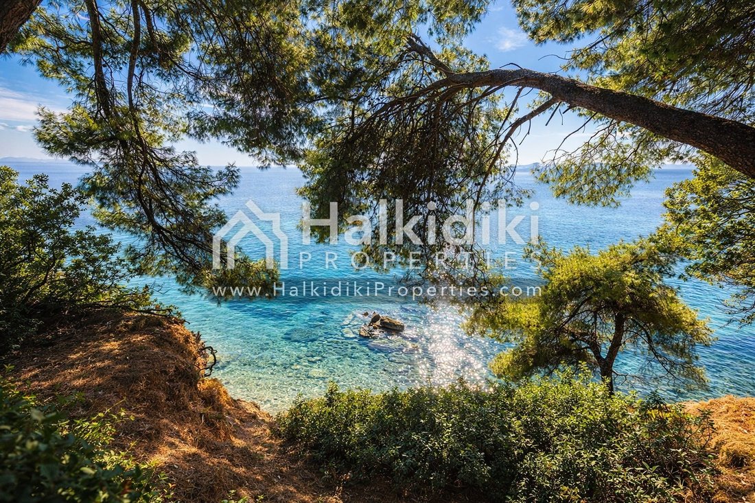 Land in Sithonia, Macedonia and Thrace, Greece 2 - 11865149