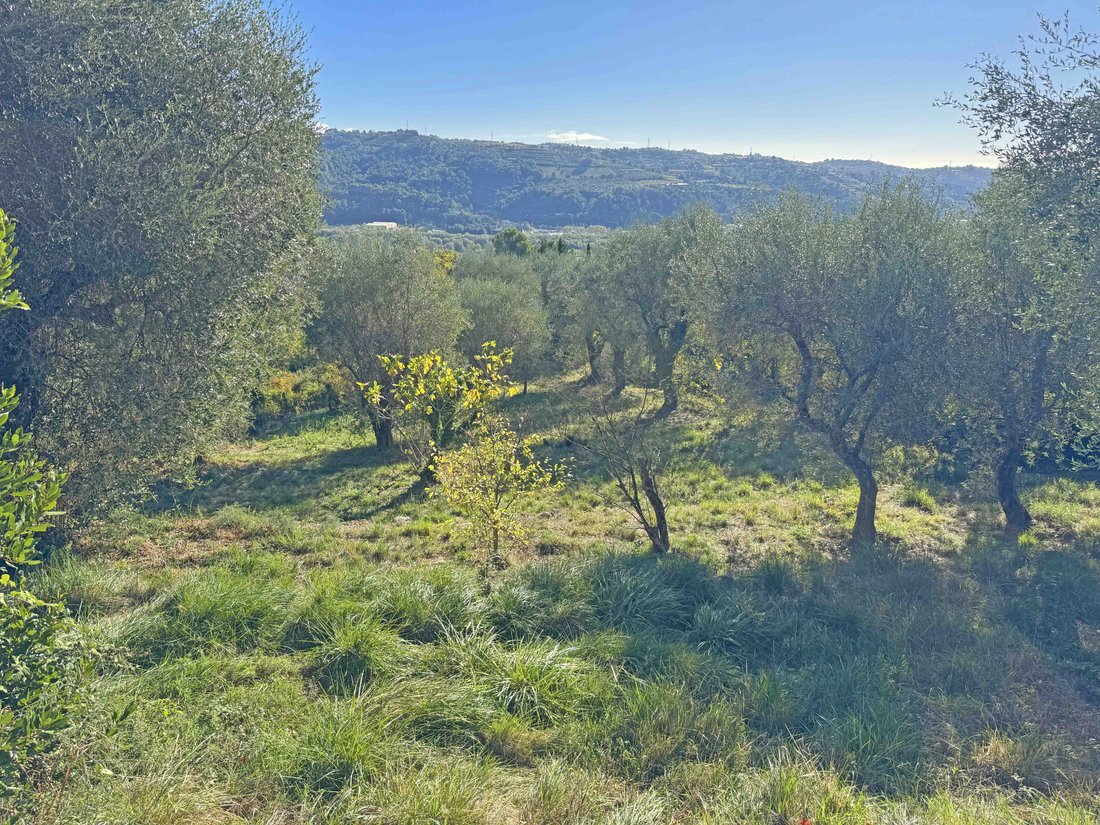 Villa in Saint-Jeannet, Provence-Alpes-Côte d'Azur, France 5 - 18597656