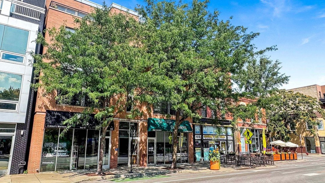 Condo in Chicago, Illinois, United States 1 - 18597446