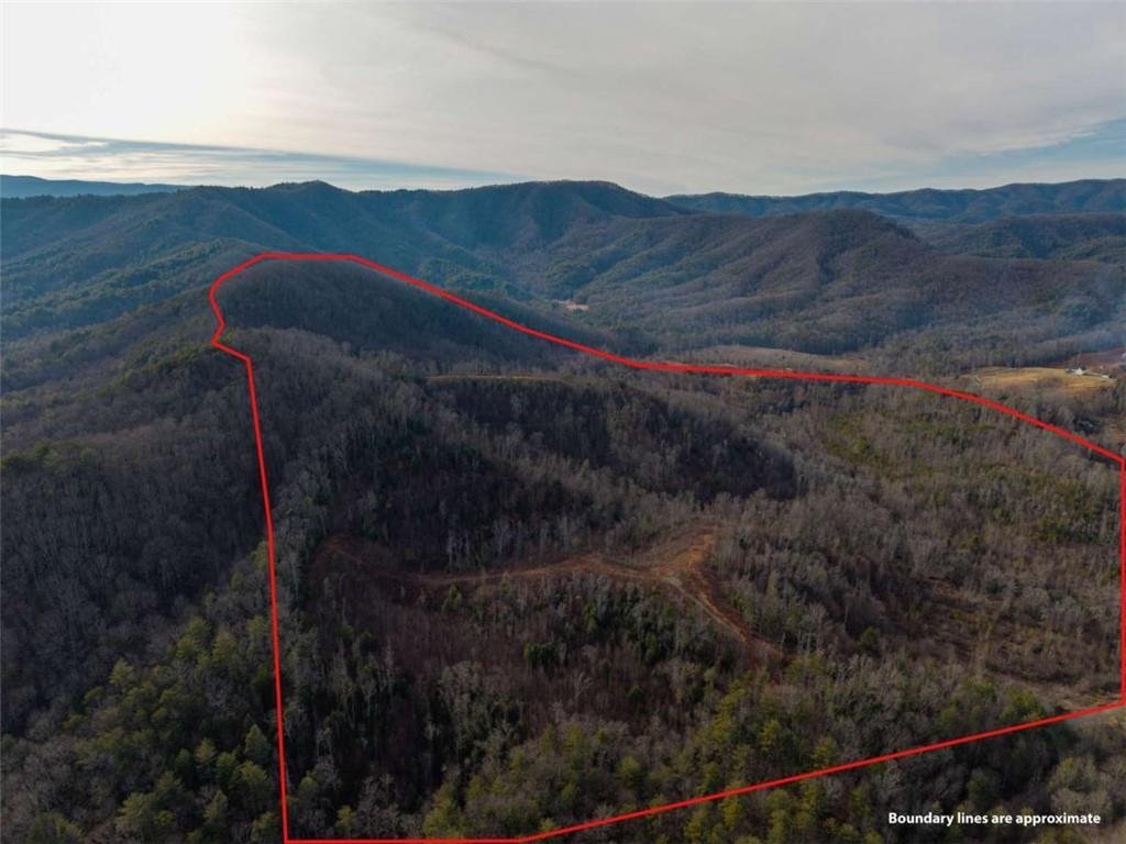 Land in Blue Ridge, Georgia, United States 1 - 18597233